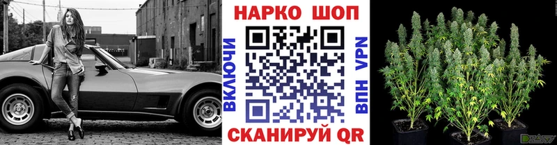 Что такое Подпорожье Галлюциногенные грибы Меф мяу мяу Гашиш Марихуана АМФЕТАМИН Вейп ТГК СК Кокаин