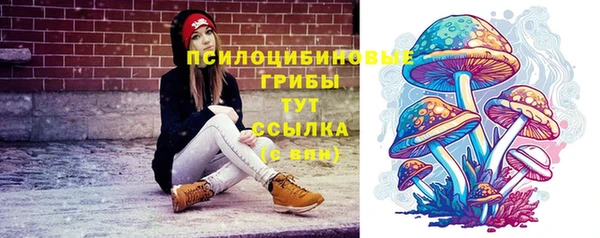 гашик Навашино